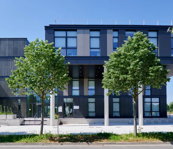 Image de la galerie 