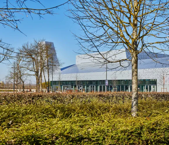 Image de la galerie 