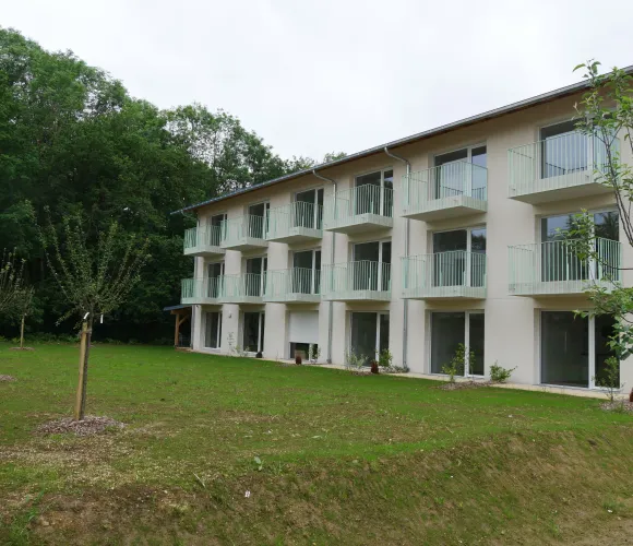 Image de la galerie 