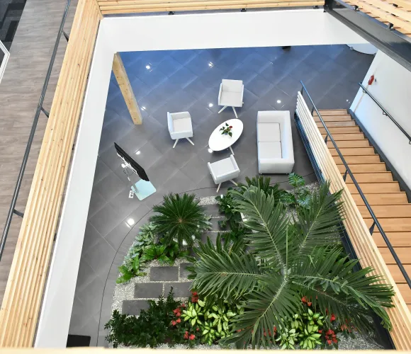 Image de la galerie 