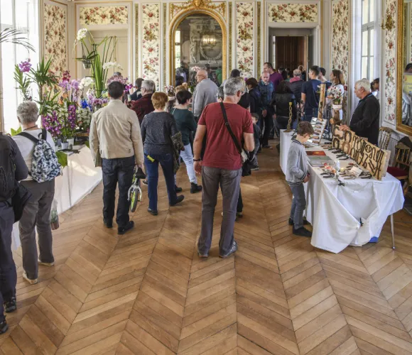 Image de la galerie 