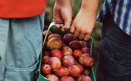 cooperative_bio_pommes_senart cooperative_bio_pommes_senart